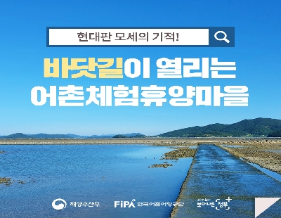 바닷길이 열리는 어촌체험휴야암을 boardlist37